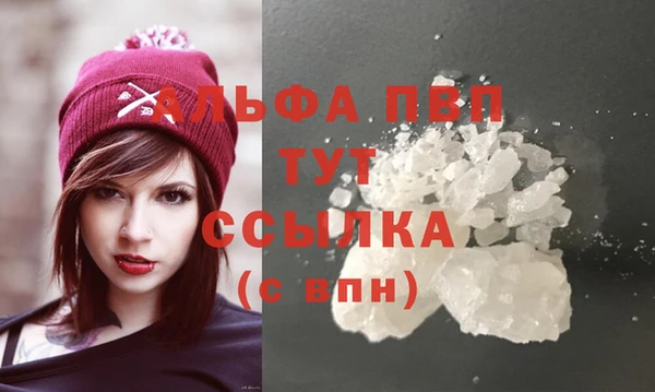 дмт Белокуриха