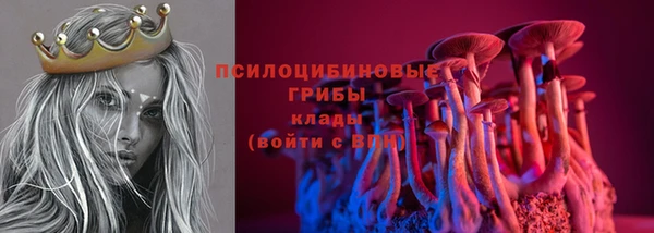 эйфоретик Богданович