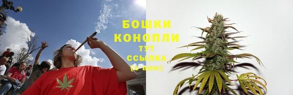 эйфоретик Богданович