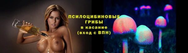 PSILOCYBIN Арсеньев