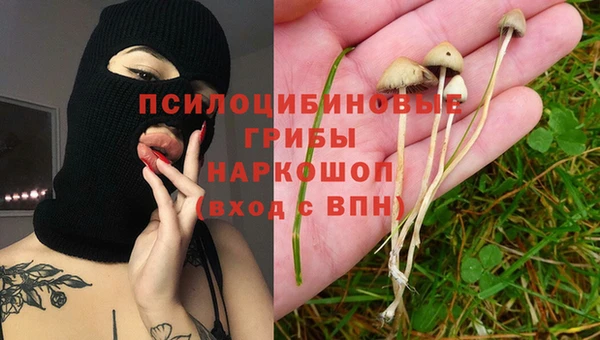 эйфоретик Богданович