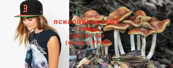 таблы Беломорск