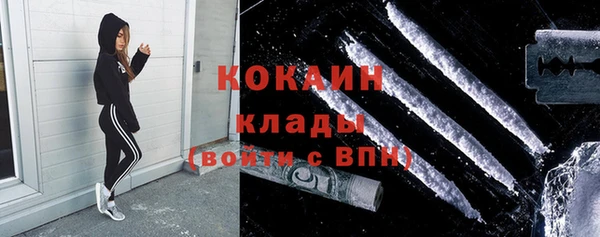 молекула духа Богородицк