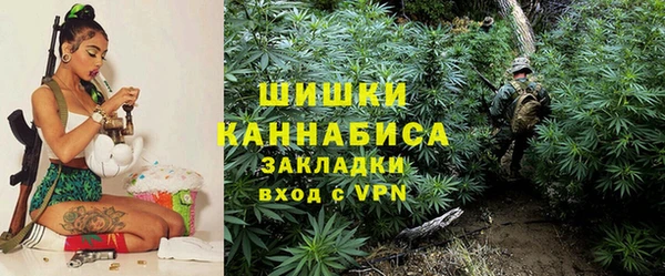 дмт Белокуриха